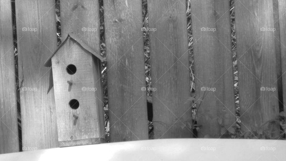 Birdhouse on a canoe