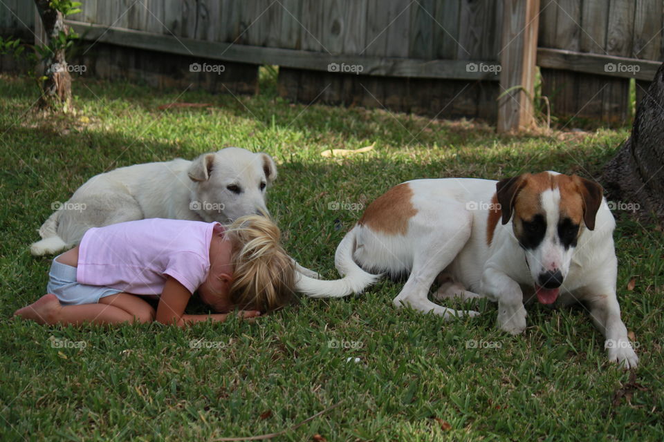 Little girl at play with her dogs