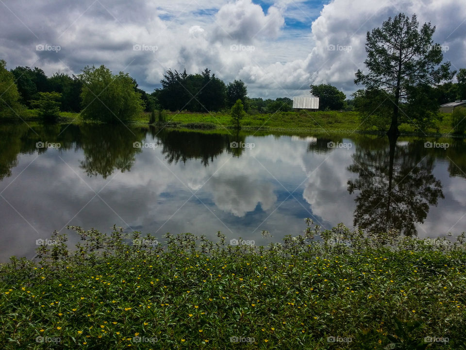 Nightshade and Clouds