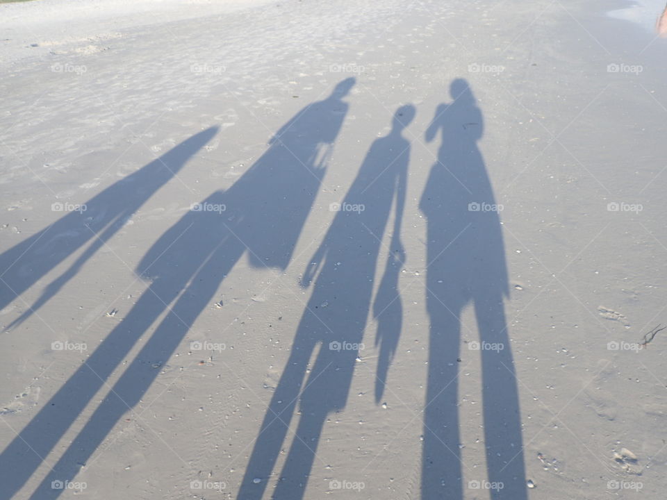 shadows in the sands. silhouette on beach