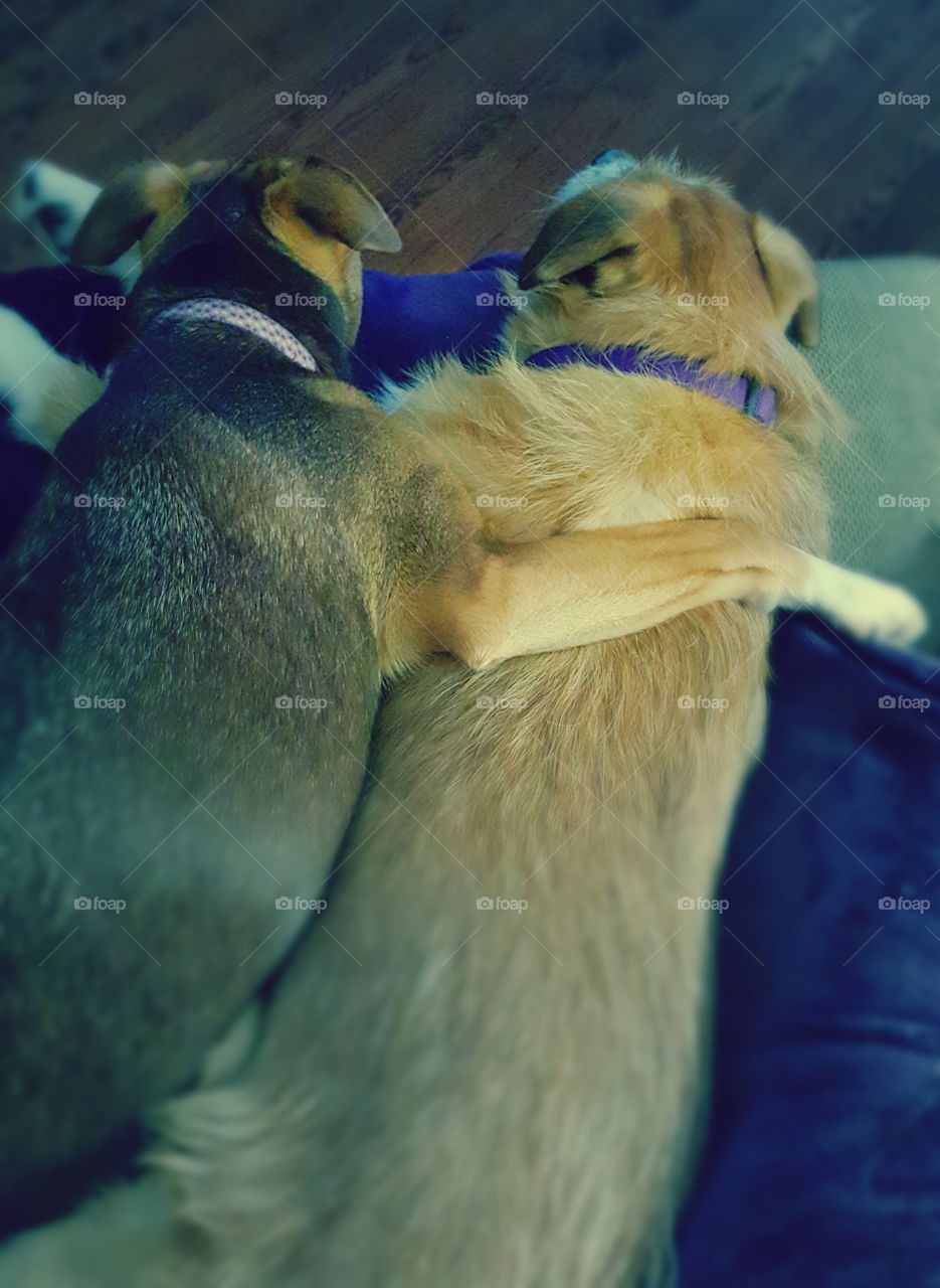 Best friends cuddling