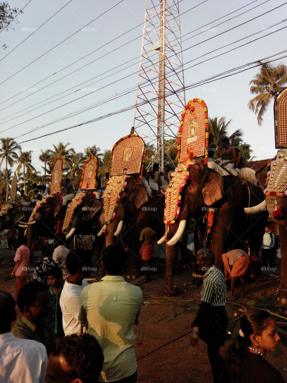 festivl day collections..