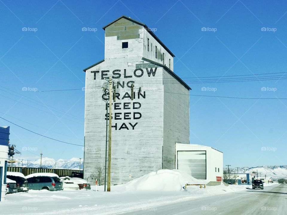 Feed, seed, and hey stop