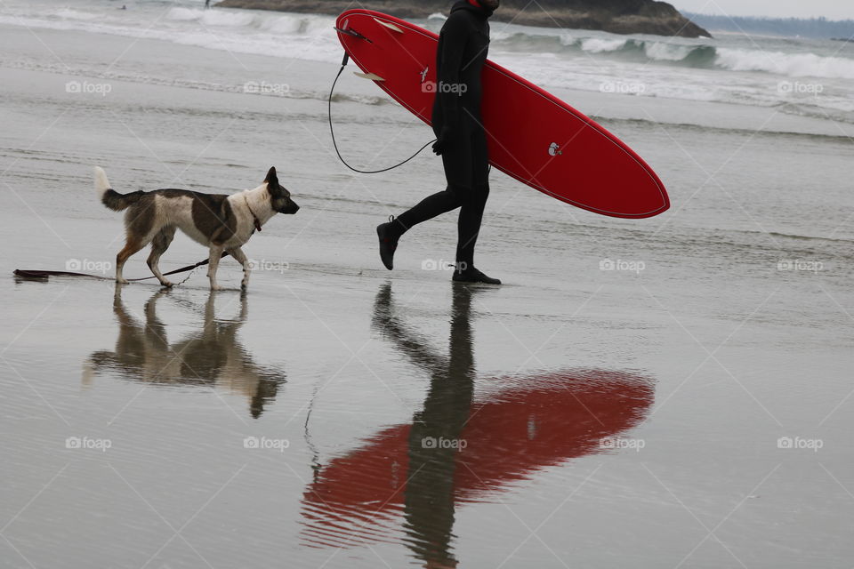 Man caring a surfboard ready to jump in the ocean.;his fig follows him