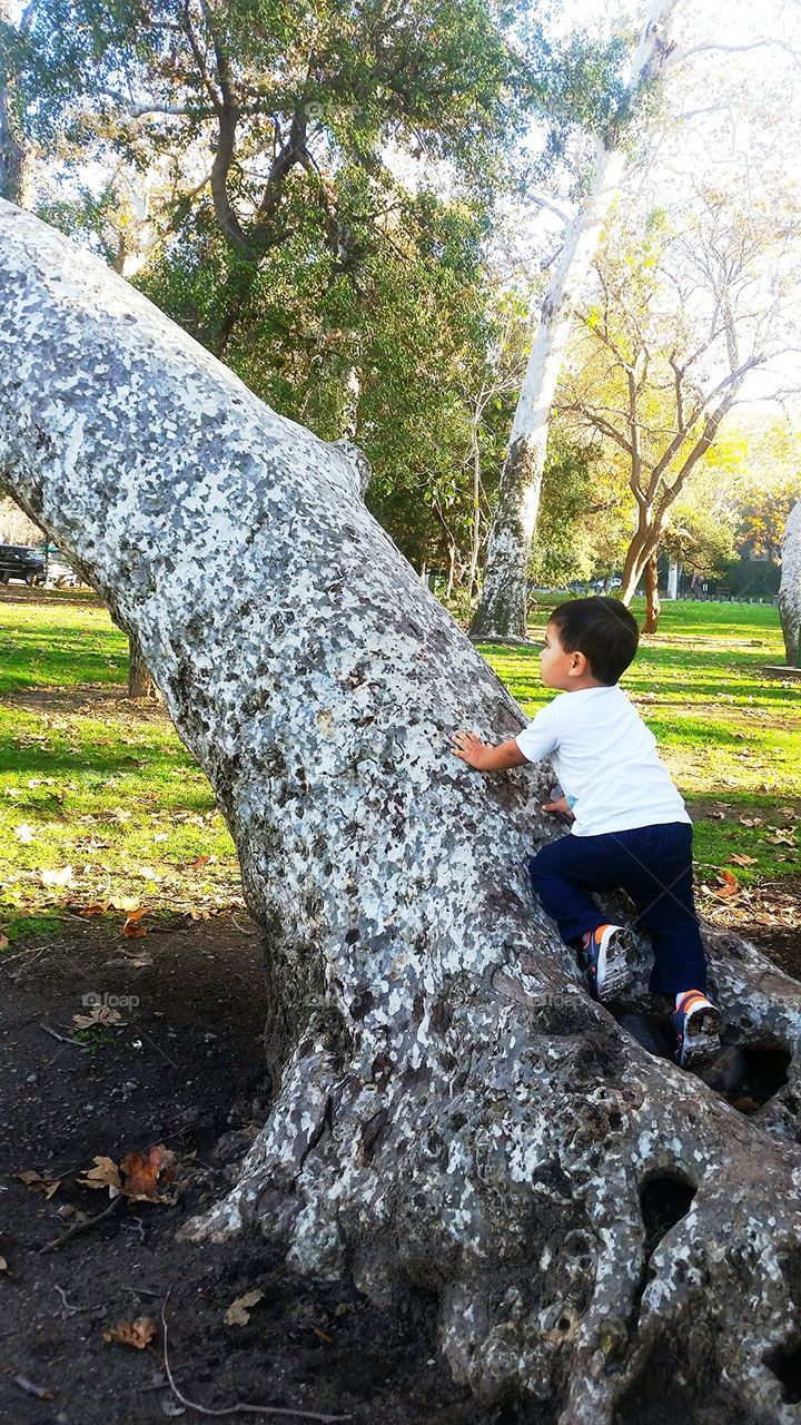 climbing 