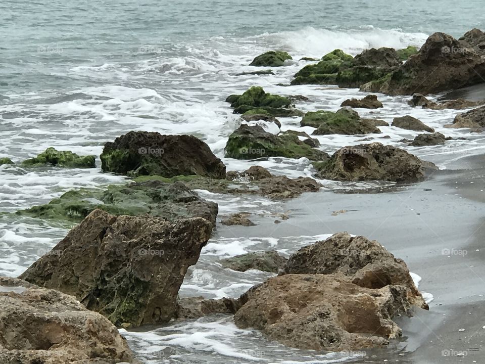 Green algae covered beach rocks 