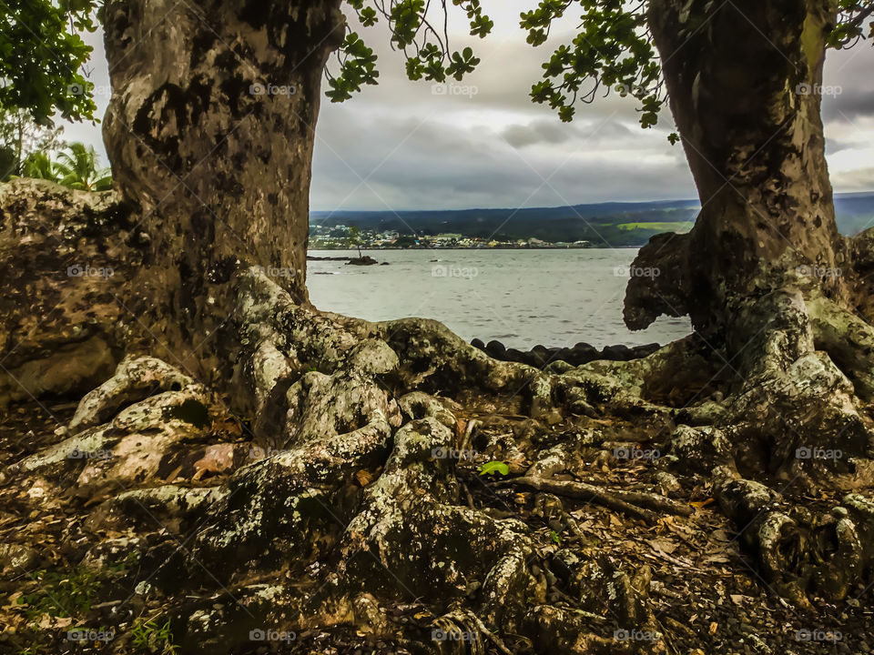 View of Hilo from Liliʻuokalani Park and Garden