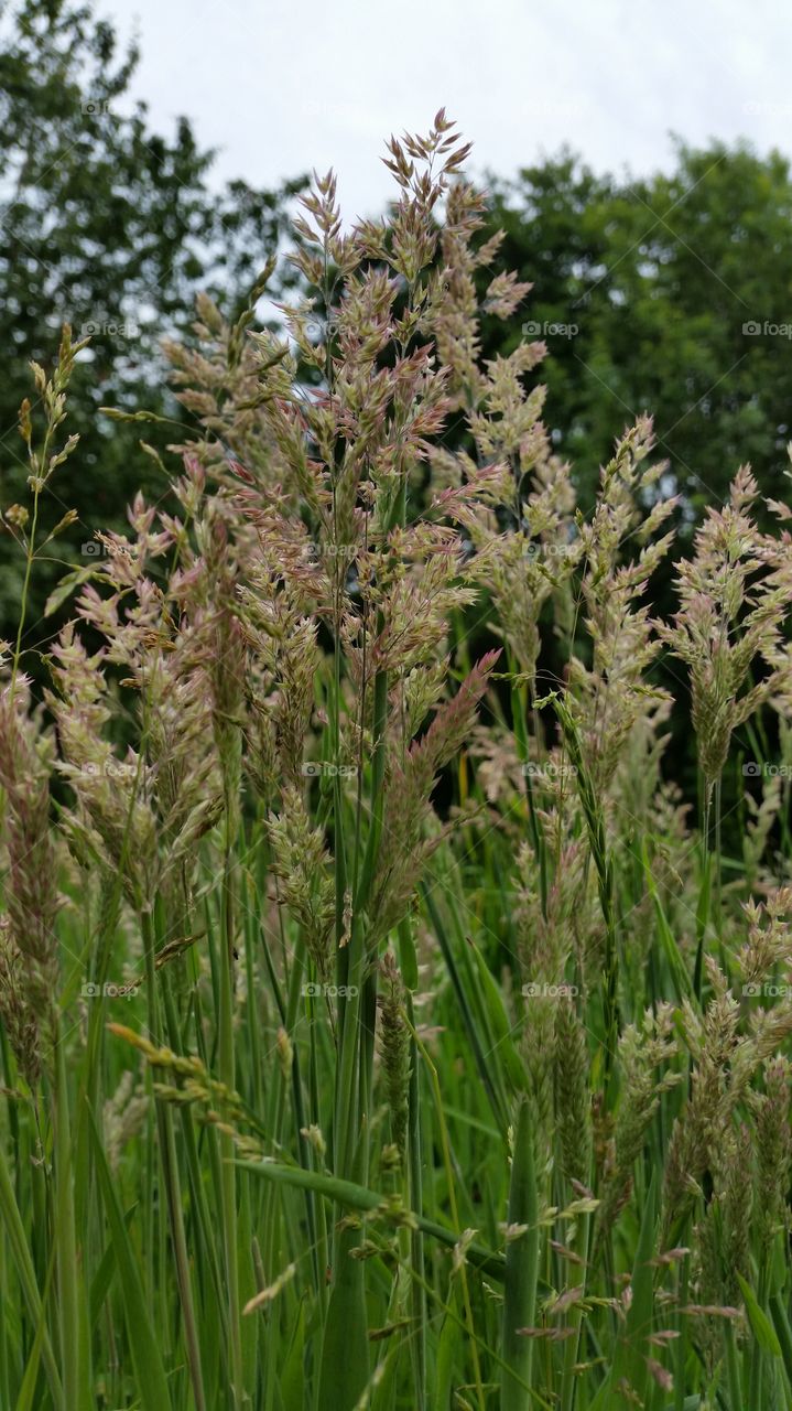 walking in the park. Outdoors activity