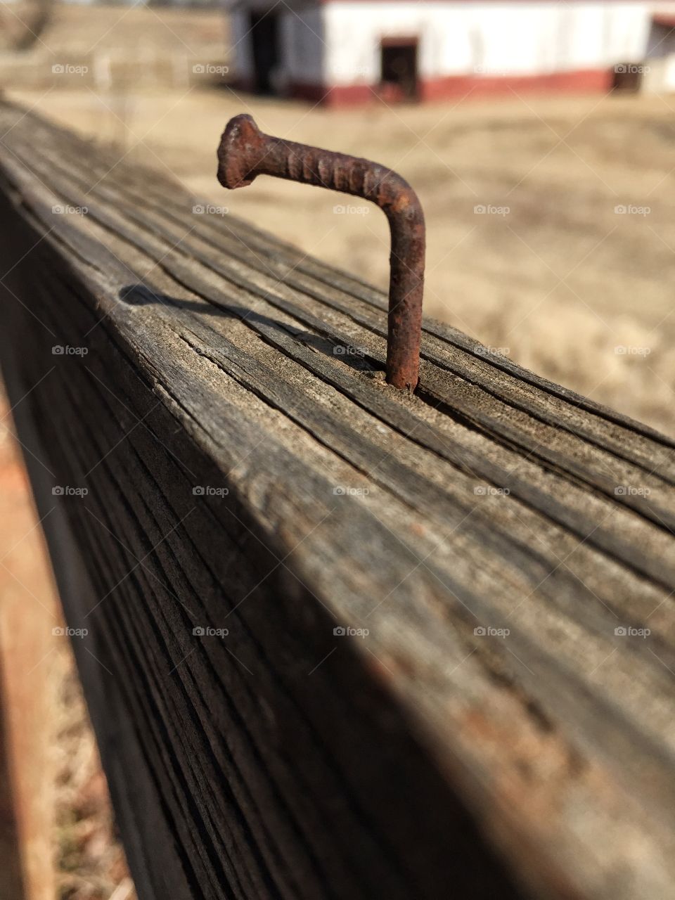 Crooked rusty nail in an old wooden fence on the farm