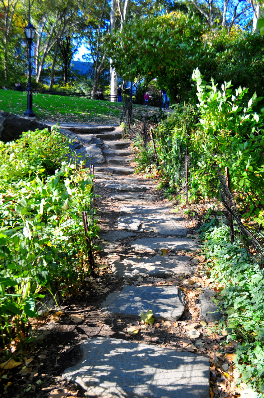 path in Central Park. stone pathway leading from lake to Central Park