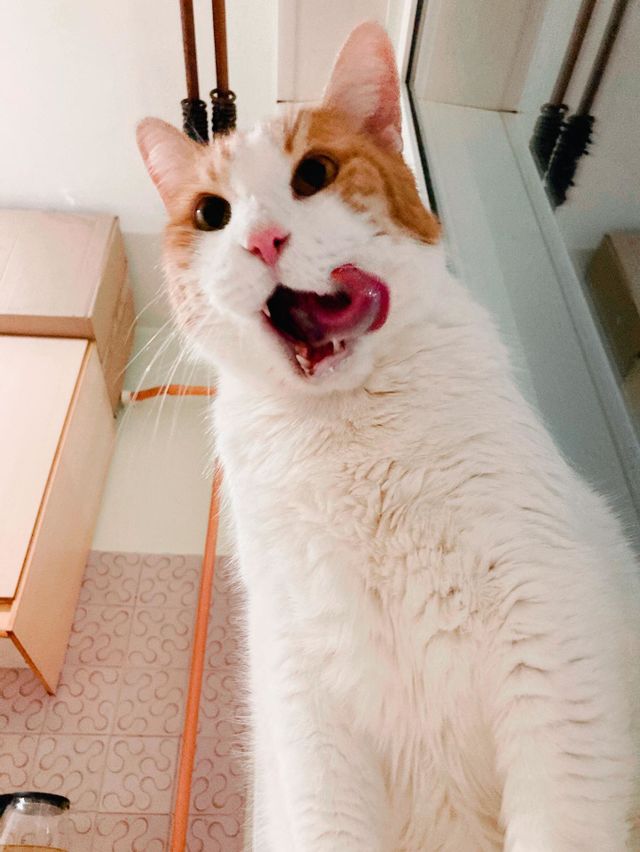 His name is Ray.