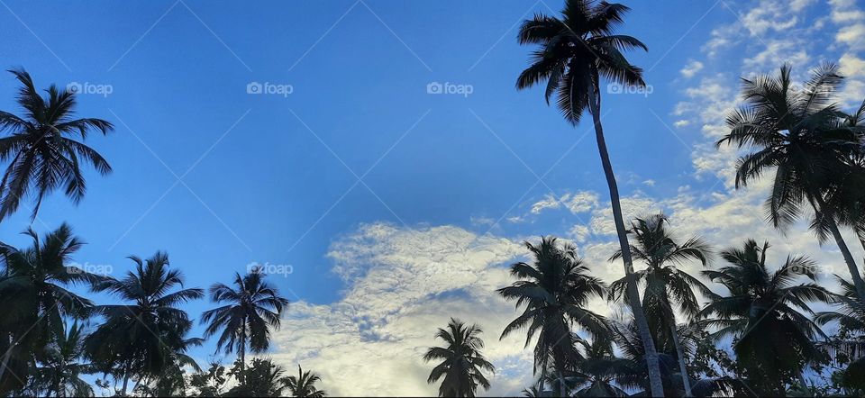 Evening sky at the end of the year