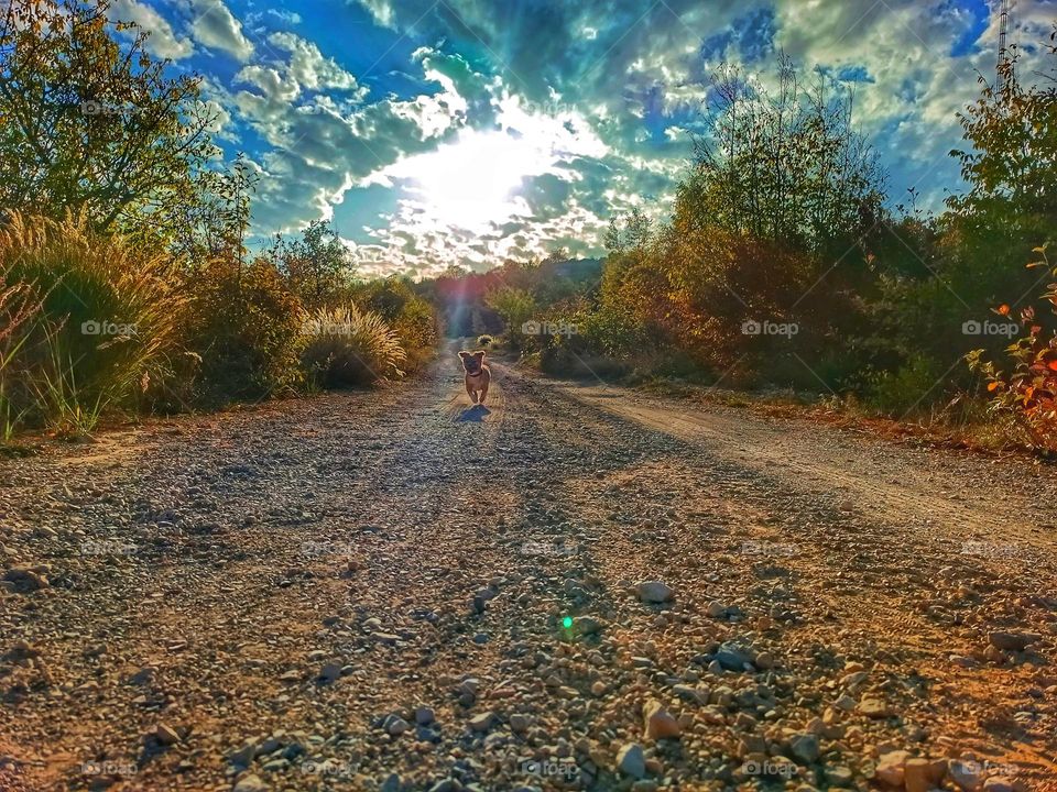 Svilaja mountain trail