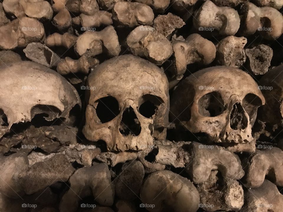 Paris Catacombs 