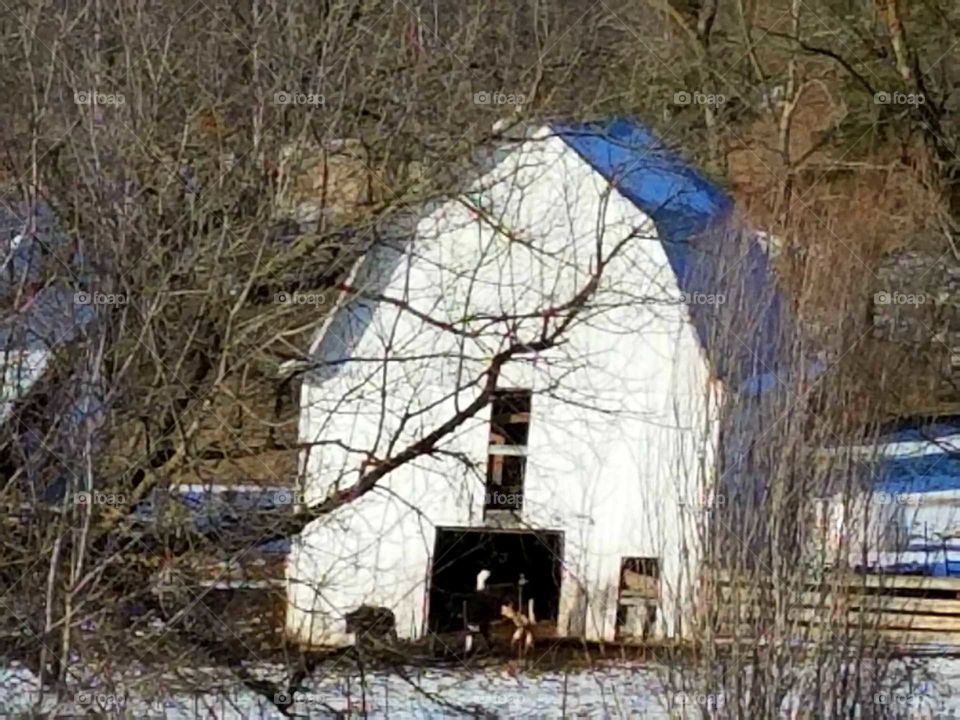 Old Barn