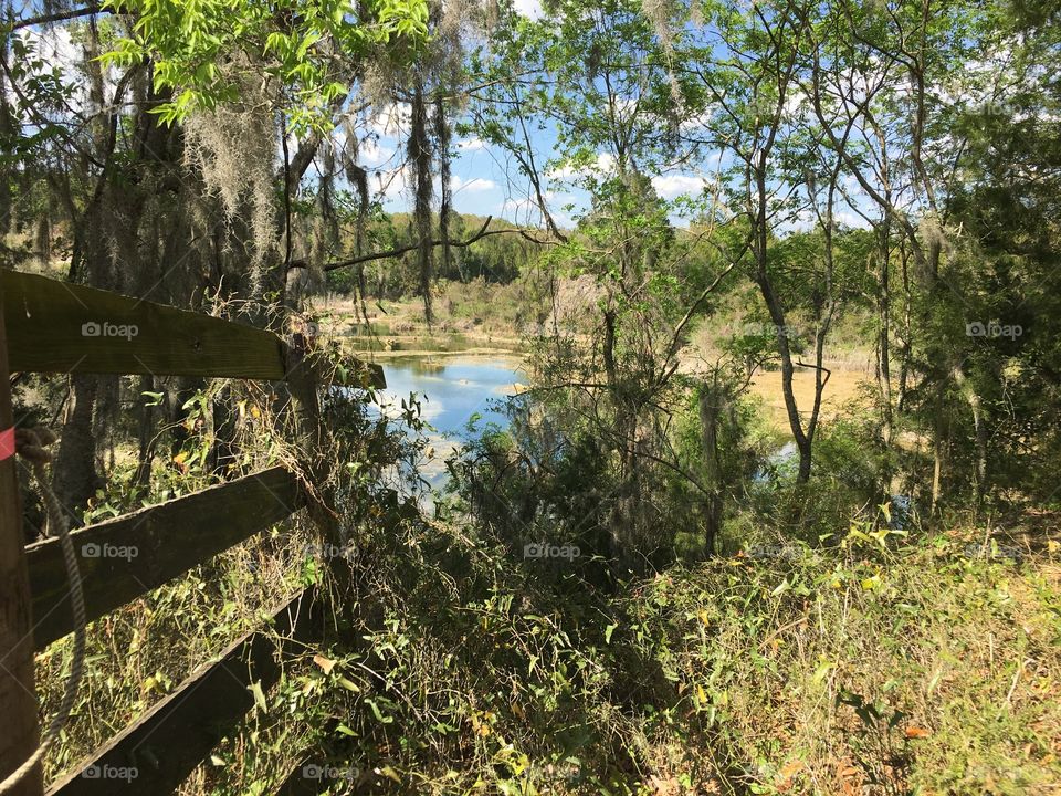 Pond in the distance