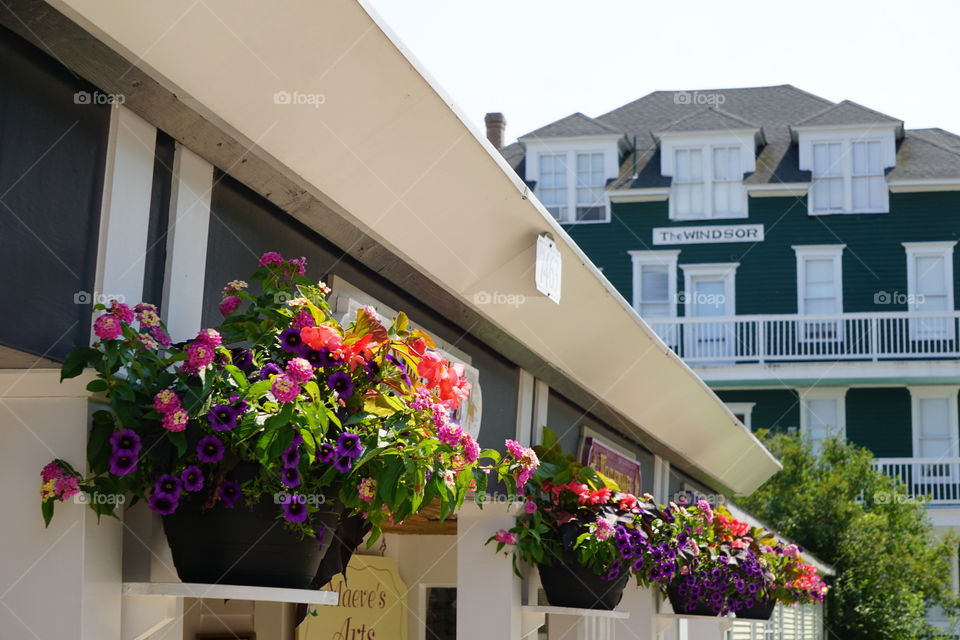 Hanging flower baskets, overflowing with colorful blooms. 