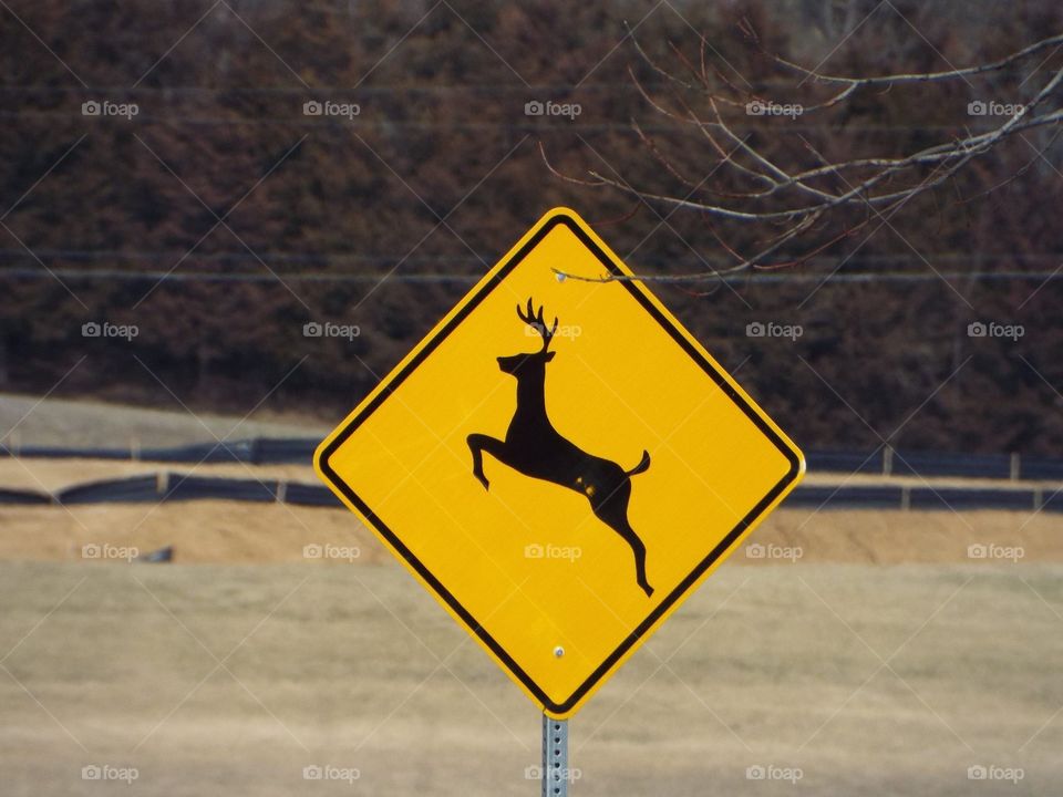 Deer crossing sign 