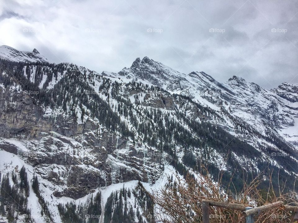 Winter mountain landscape 