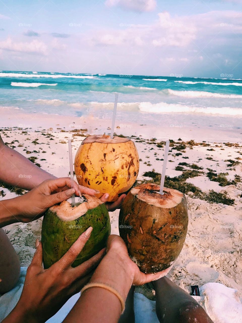 Coconuts               Instagram: pbjorkbacka 