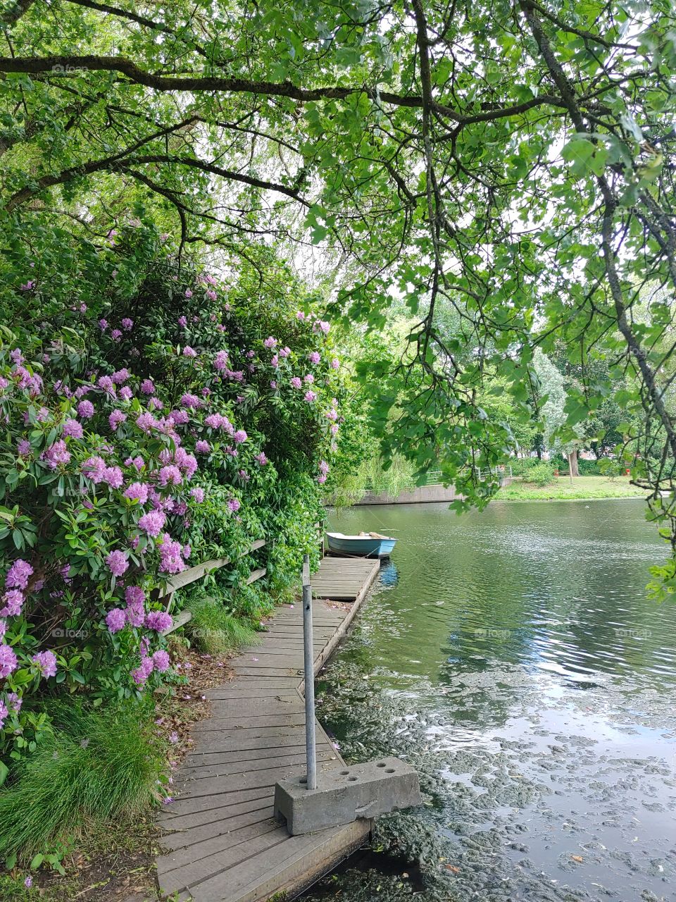 Hamburg, Germany, nature