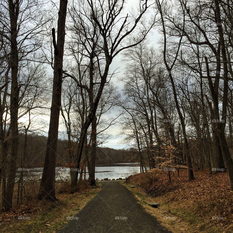 I love this trail and how it opens up to the lake. 