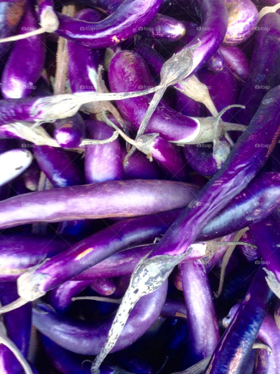 Italian aubergine