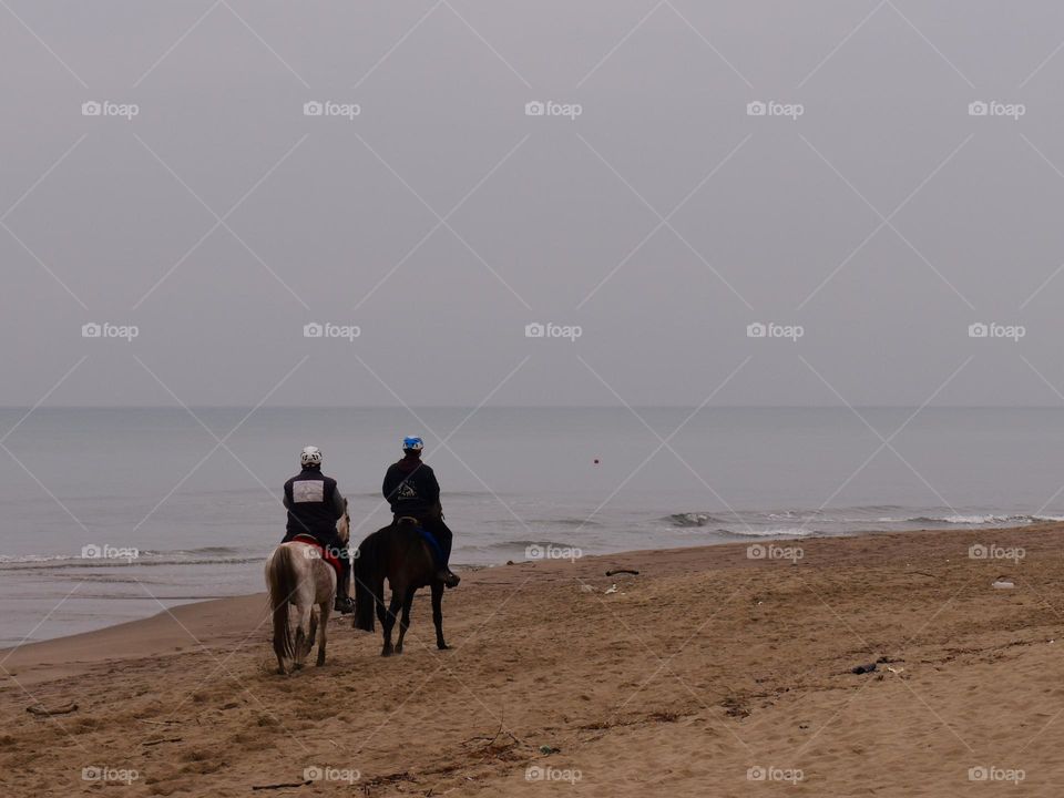a horse ride near the sea
