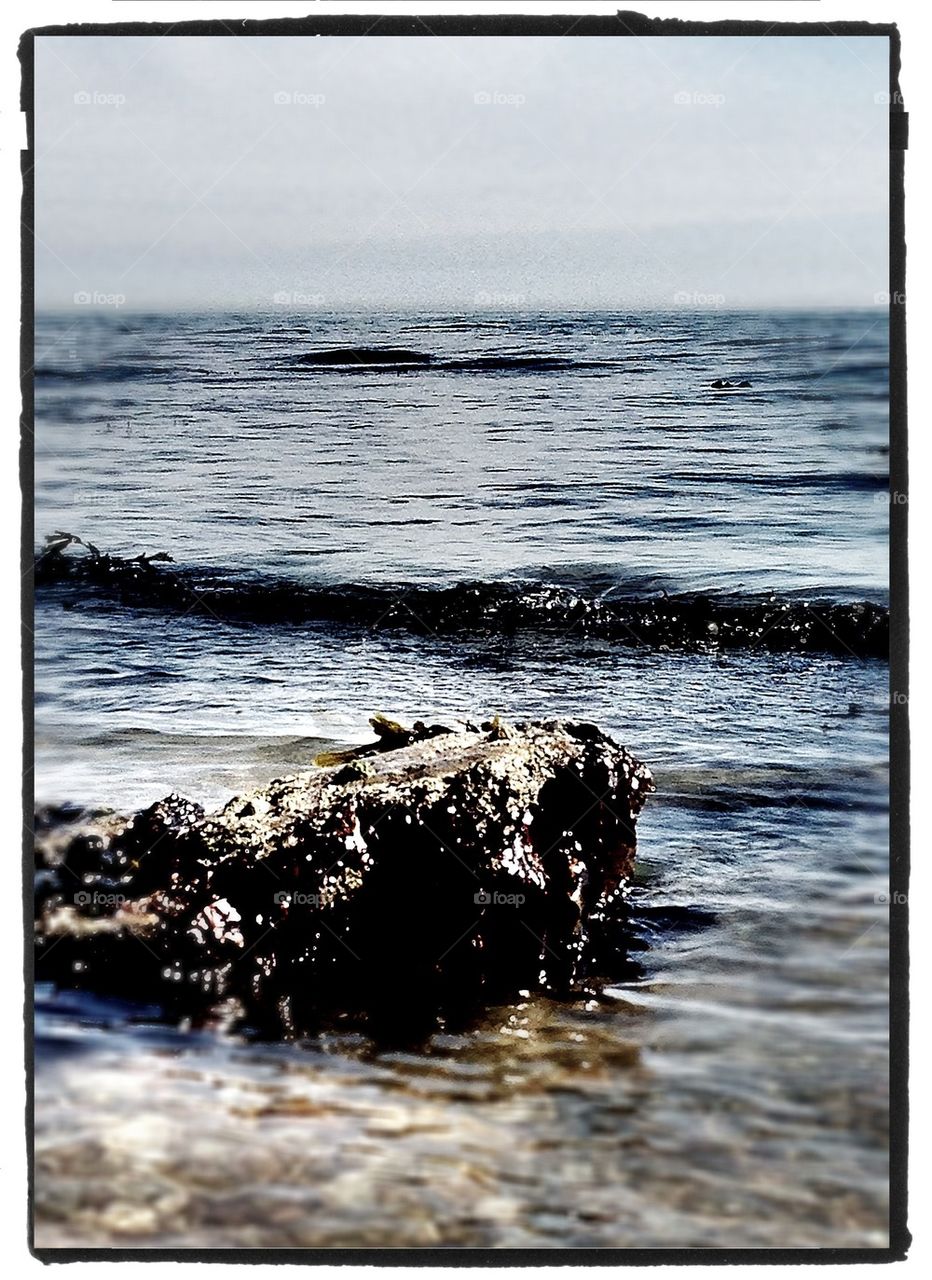 beach water sea rock by kevag