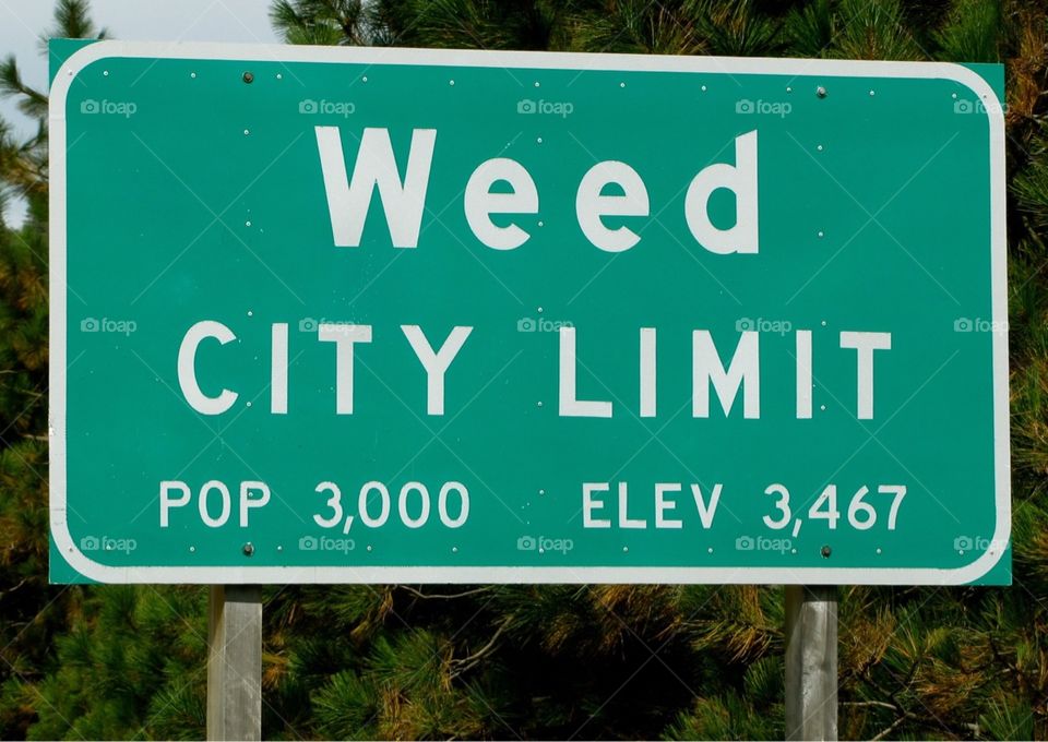 Weed city limits sign - Weed, California 