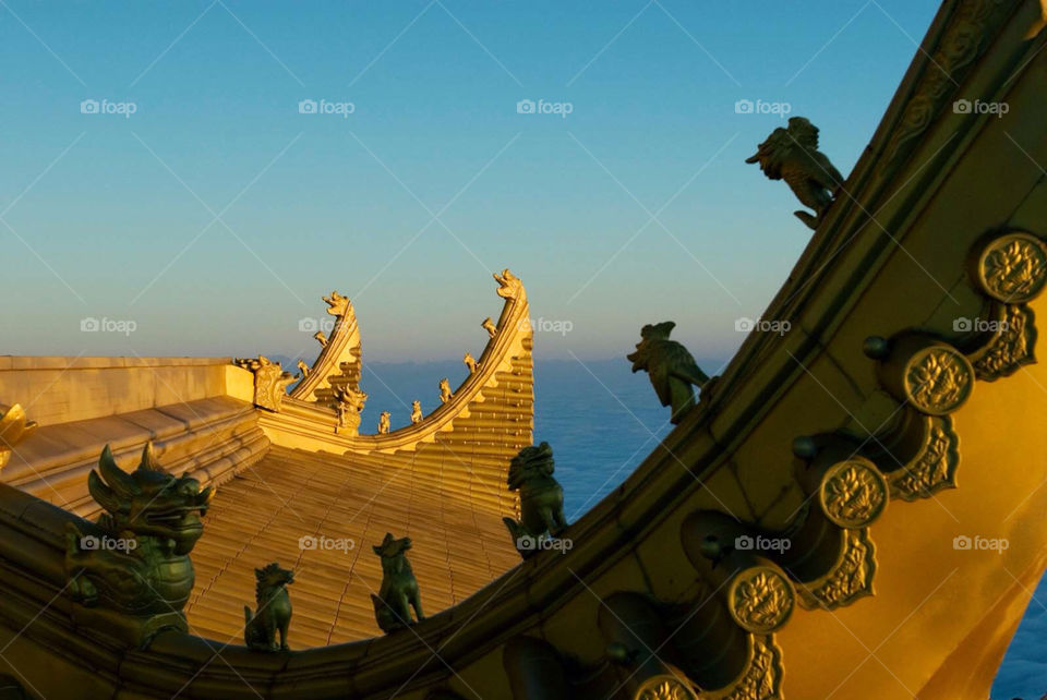 sky china tree sunset by el62580000