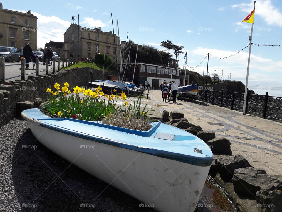 Spring flowers planted in a boat