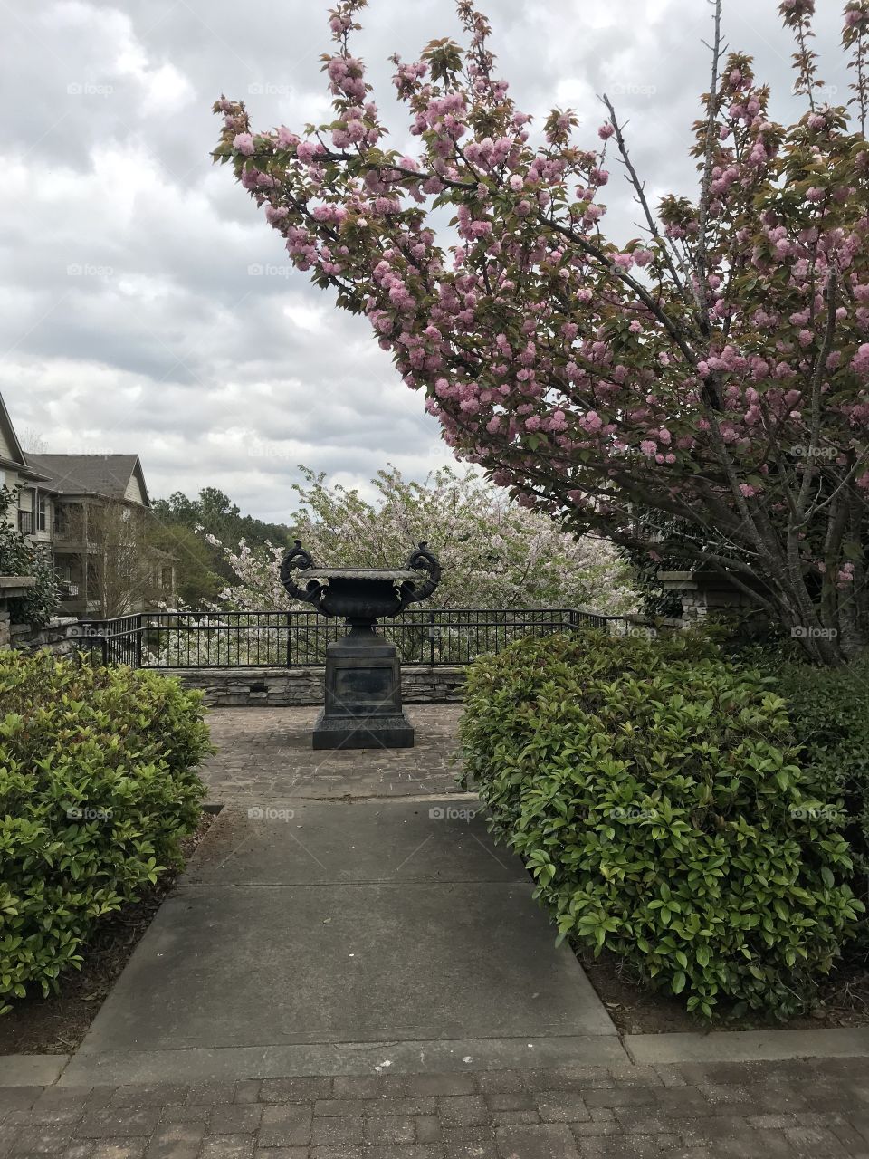 Spring in the courtyard 