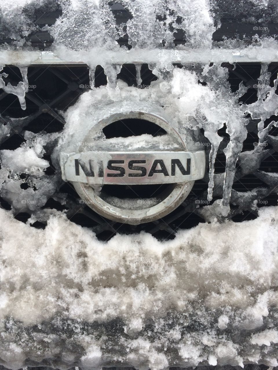 Snow ball winter ❄️ 