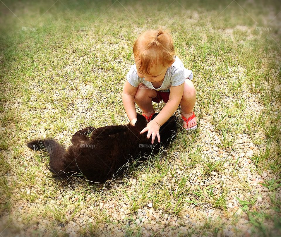 🇺🇸 A sweet routine! Take care of animals, especially small ones. Here, my daughter always caressing them ... / 🇧🇷 Uma doce rotina! Cuidar dos animais, especialmente os pequenos. Aqui, minha filha sempre fazendo carinho neles...