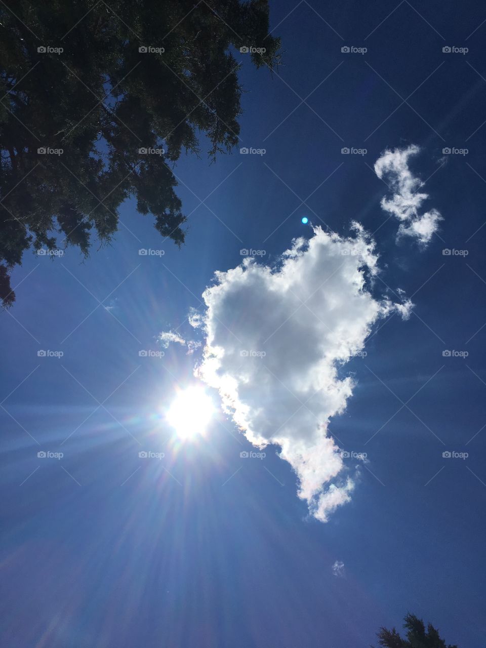 The heart of the sky on a beautiful sunny day