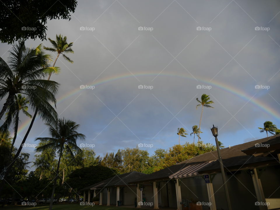 Full rainbow in the tropical park, Hawaii 