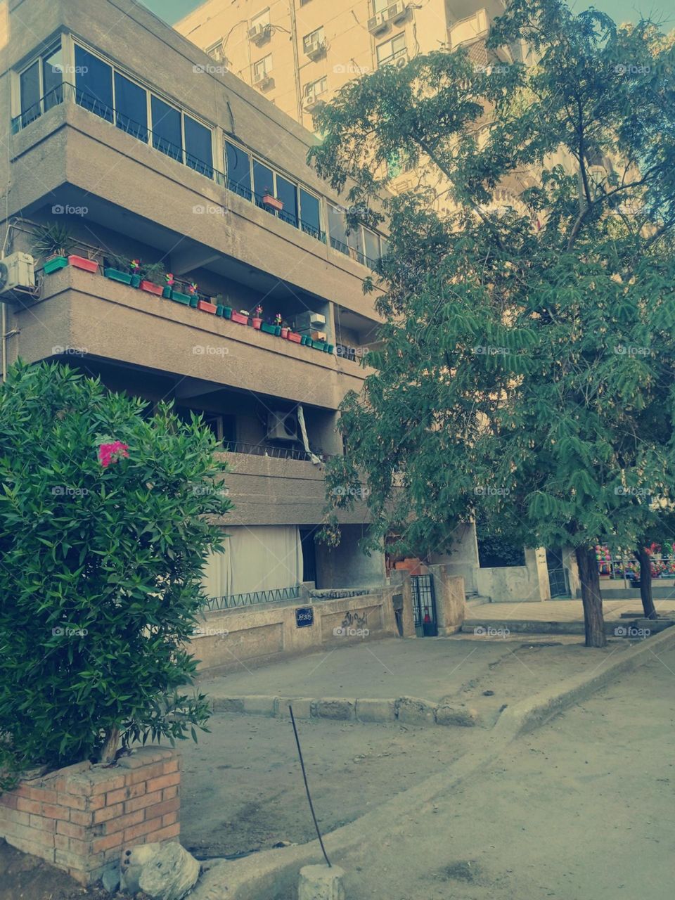 calmness in the morning, you can walk in the street, you will feel better ❤️💥 
trees , houses , plants , pure air , natural