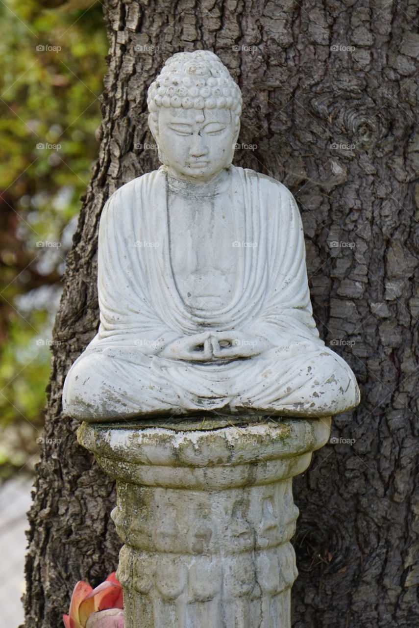 A Buddha statue at a local Beautiful Temple
Spring California