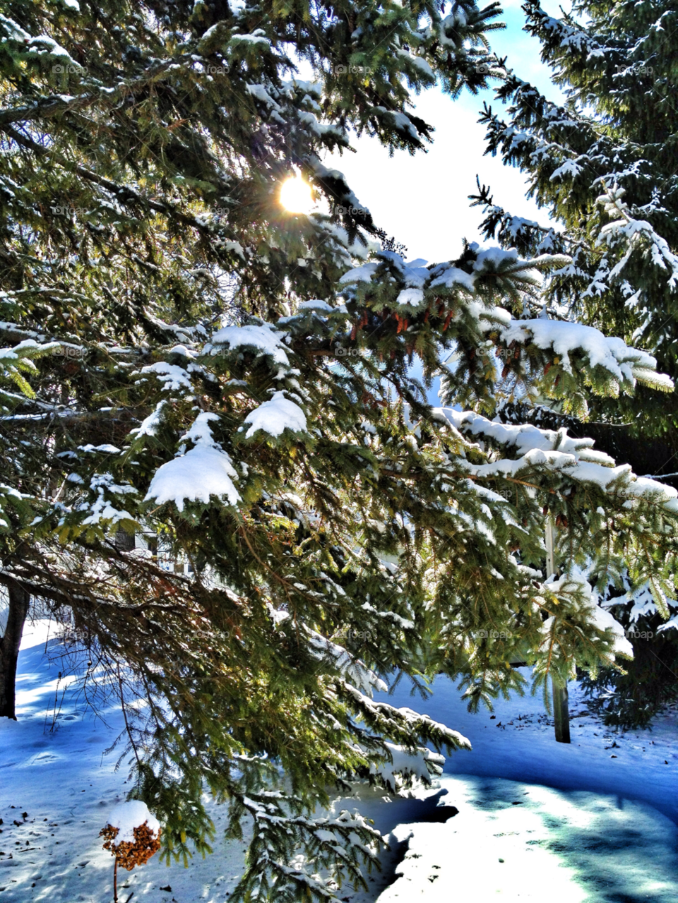 snow winter street city by somebeach