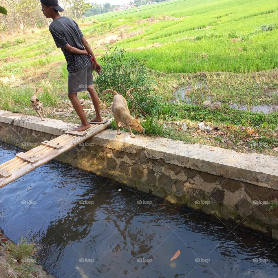 A young man with his hunting animal passed a small river