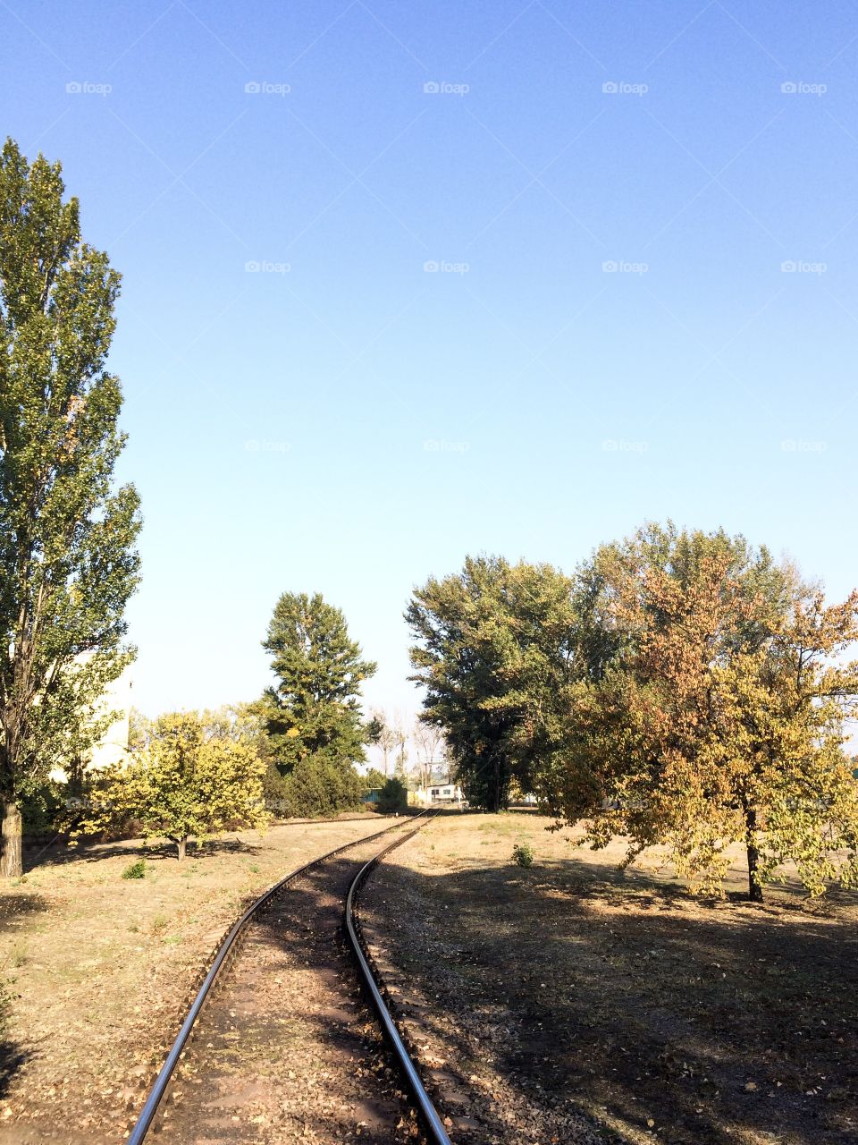 The railway. Landscape. Perspective. Way. Blue sky. Trees. 