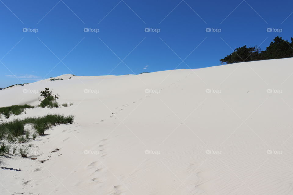 A sand dune against a blue sky