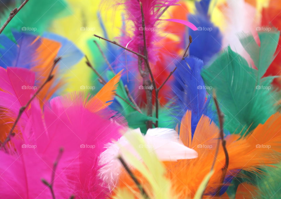Colourul Easter feathers.
