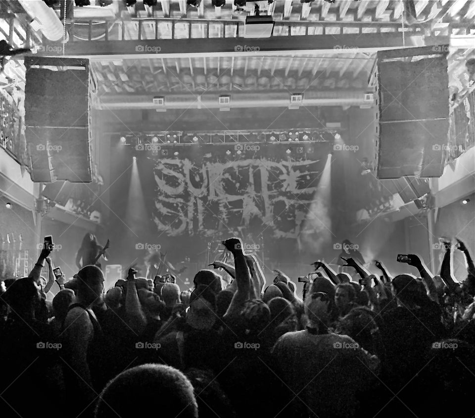 Suicide silence concert