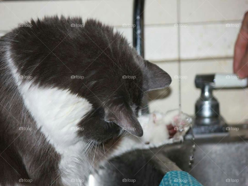 Having Fun In The Water