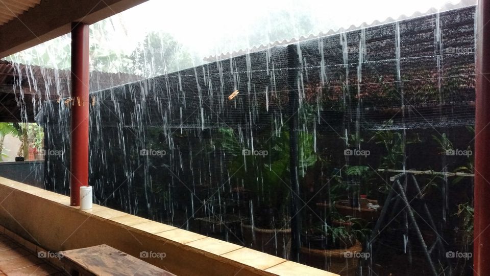 Chuva na cobertura do viveiro de plantas. Orquidário.