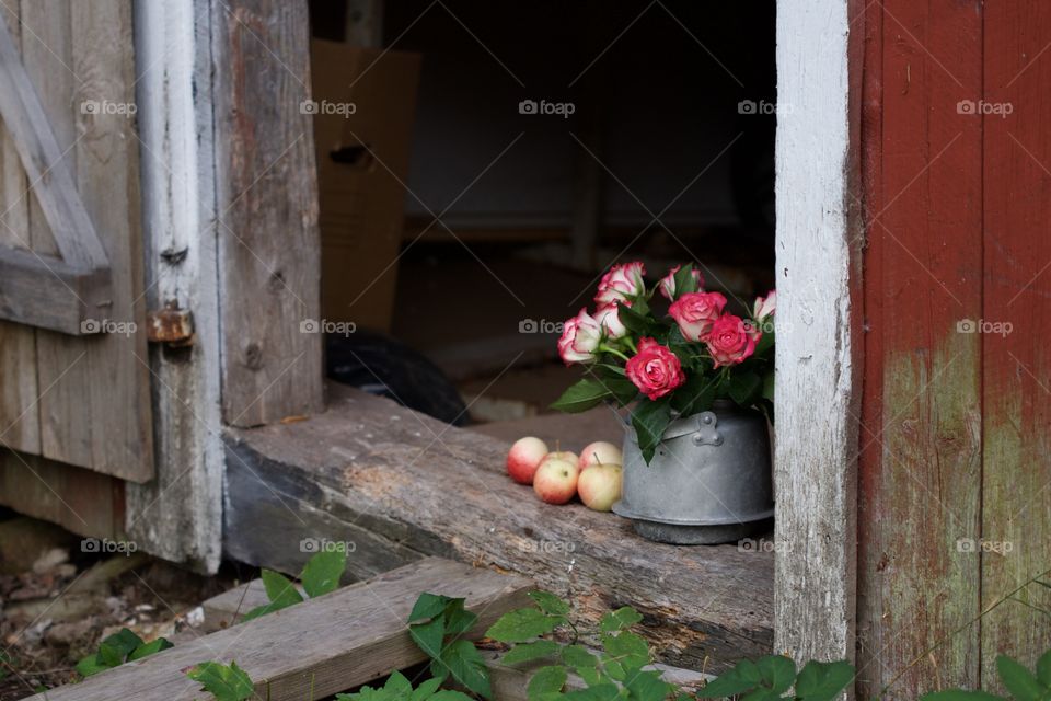 pink roses and apple