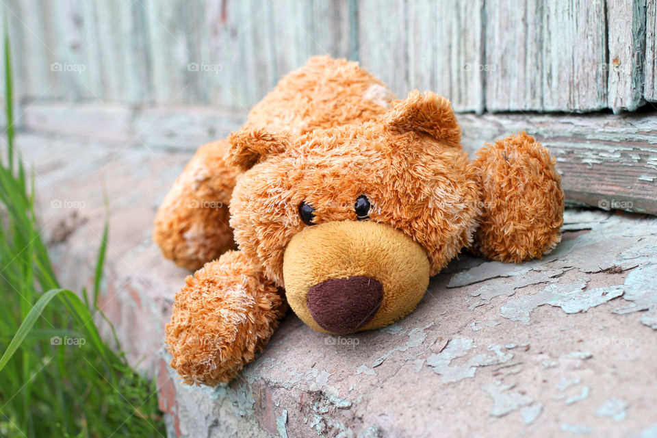 Bear, teddy bear, brown bear, toy, children's toy, childhood, child, game