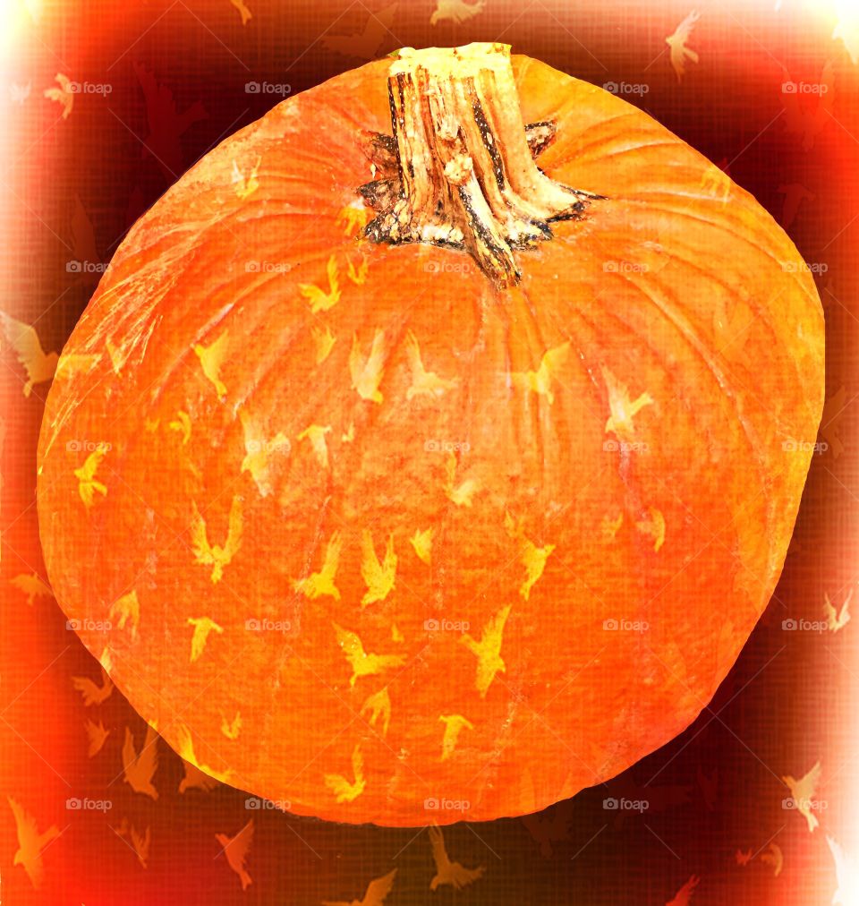 Pumpkin Art 